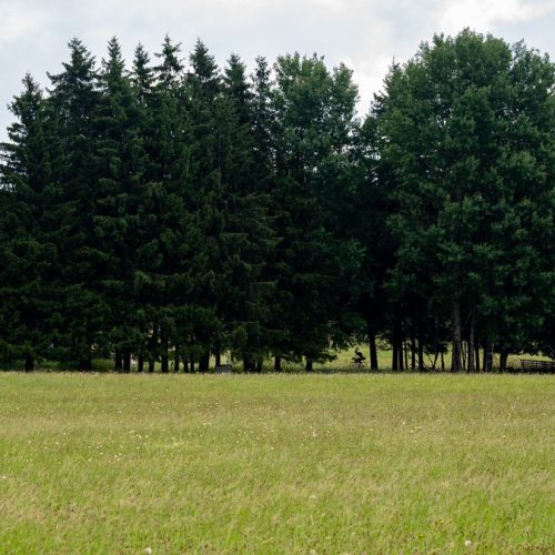 JNGUYEN_3PEAKS25_day3_009