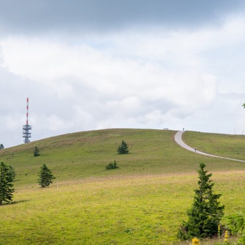 JNGUYEN_3PEAKS25_day3_087